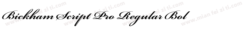 Bickham Script Pro Regular Bold字体转换
